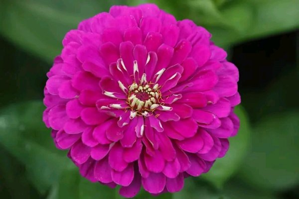 file_96291718