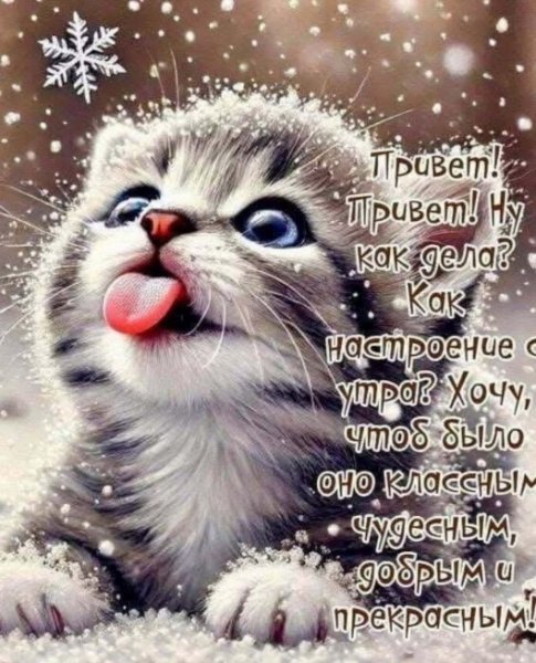 Screenshot 20250306 025647