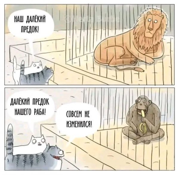 FB IMG 1777317927353