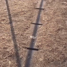 gifs 05