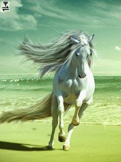 White horse animated белая лошадь