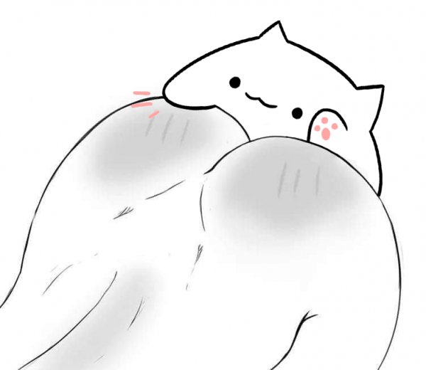 bongo-cat-NSFW-жопка-3109408