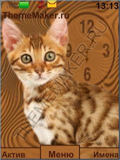 Котенок