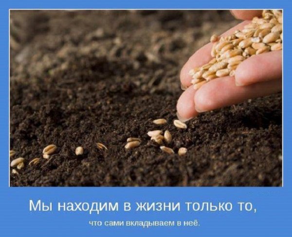 Мы находим в жизни только то...