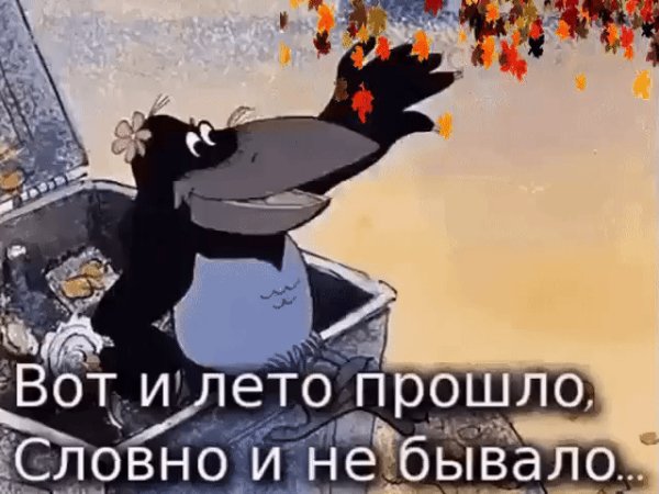 file_78633156