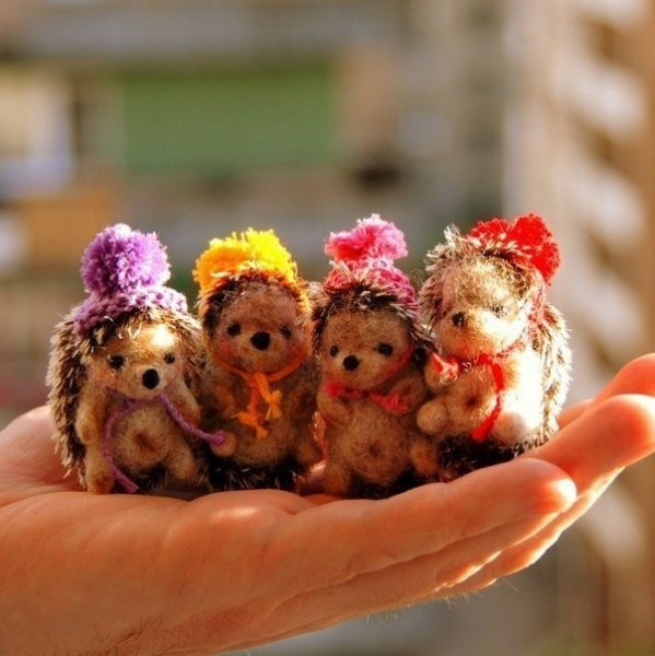image (8)