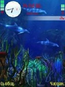 Aquarium