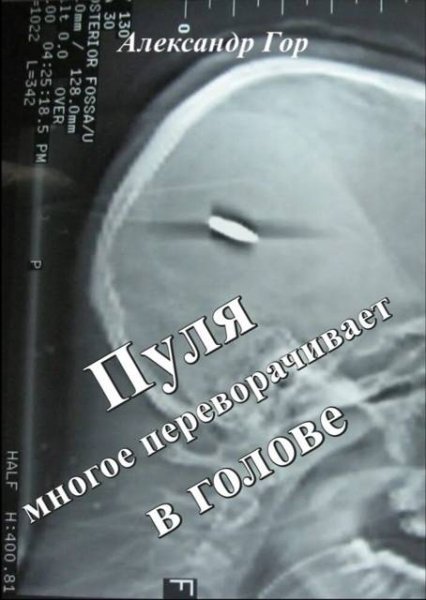 Александр Гор Пуля многое переворачивает в голове