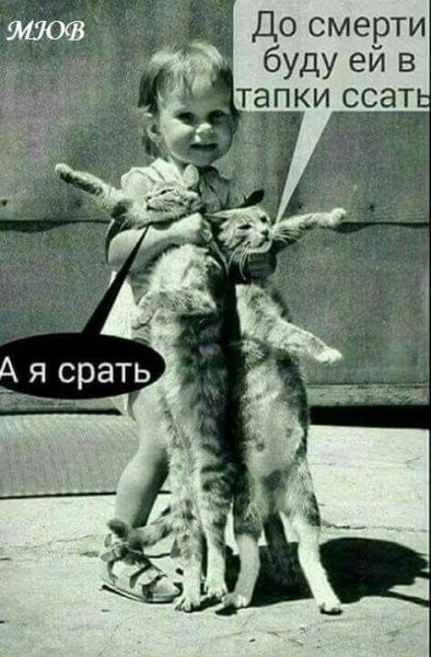 FB IMG 1775991984742