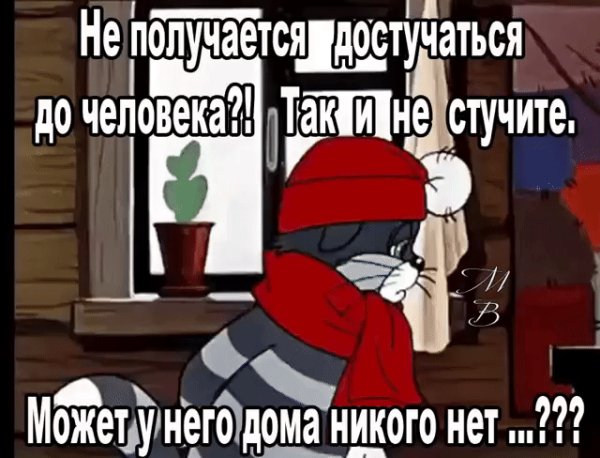 d913cb2b5ea823986e8a4c229bf3d50b 800