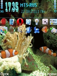 fish clow animated