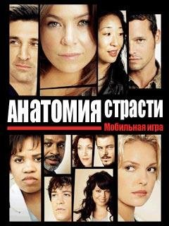 grays anatomy