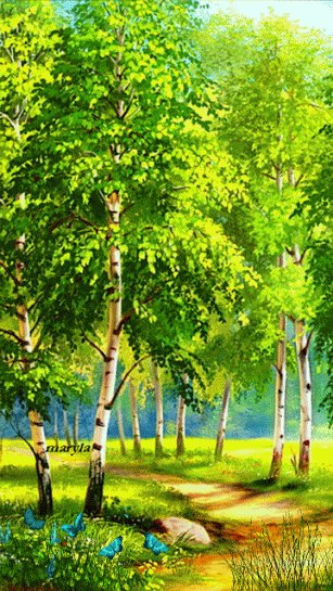 березовая роща