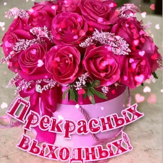 IMG 20240218 000509