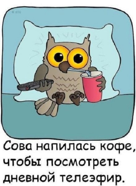Сова...