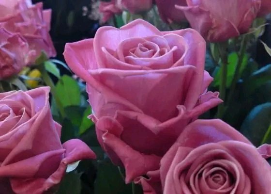 file_96291771