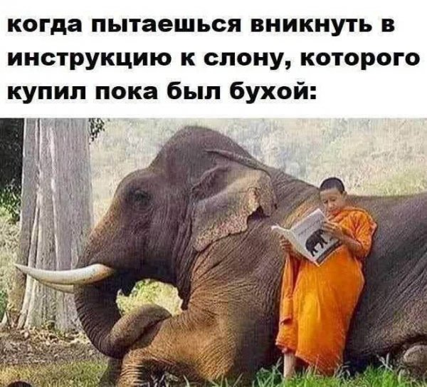 FB IMG 1776281934546