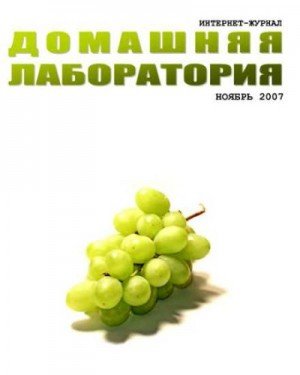Интернет-журнал Домашняя лаборатория, 2007 11 (2007)