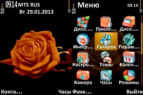 orangerose