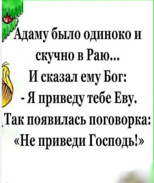 IMG 20260311 061442 717