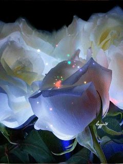 file_51674081