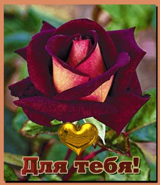 Для тебя РКС