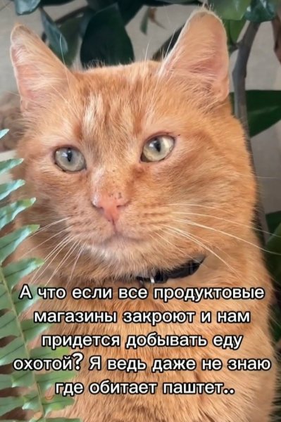 file_102512575