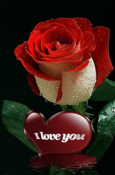 ЖК РозаОСердце I LOVE You