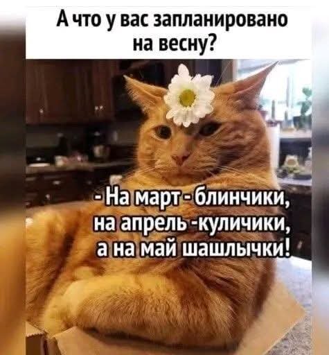 FB IMG 1772547694251