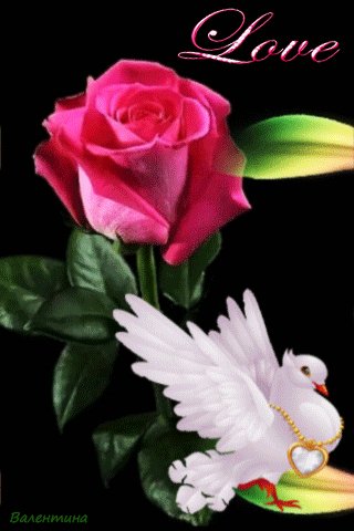 file_72401148