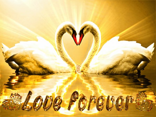 Love forever