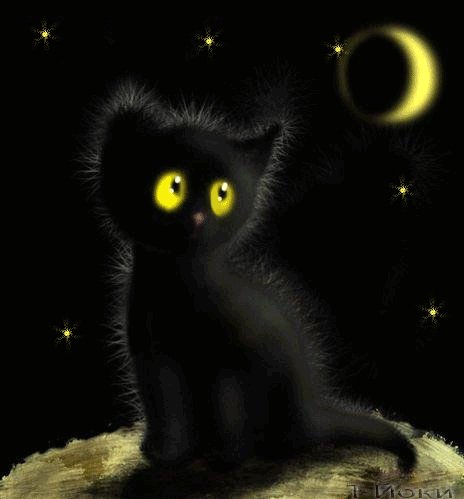 cd014fe84964c0321102302f70ad7 i-13640