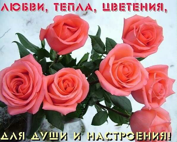 Пожелание