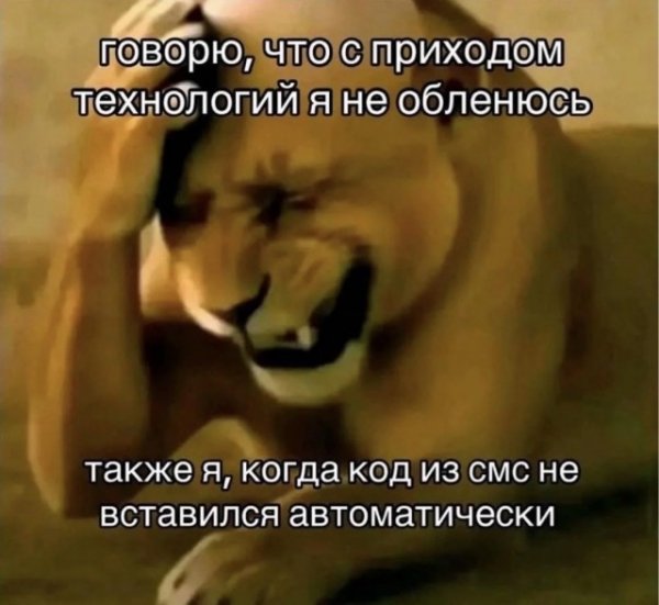 file_102573979