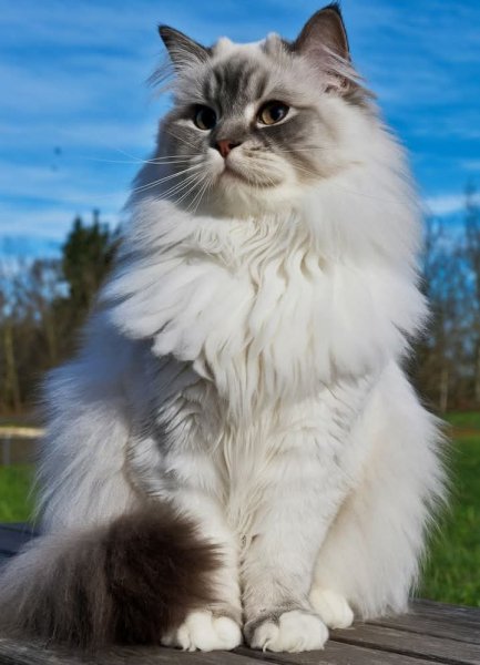 FB IMG 1755948945538