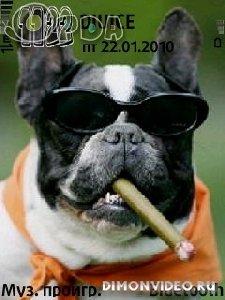 doggi by dimon6120c in 24012010174909 up