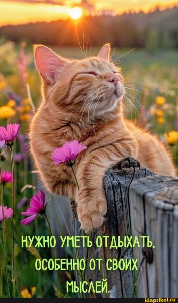 ae328a8acceb007bc62ccf4202ec959e94d36cd62444e622 1