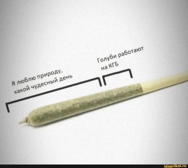 b4e605b5047c2a7bfe1c5ccb37561109904225bdceb9987ebfaeb5a316