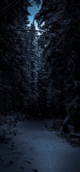 file_92605760