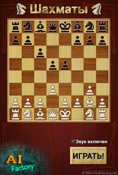 Шахматы
