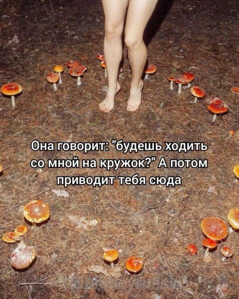 Не ходи по грибы ты в лес если живешь ты без чудес