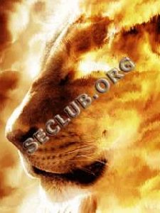 AnimatedLion