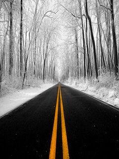 By ledkan (Зимняя дорога)