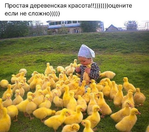 rR XbN9z0mEIpPlNv2qXvr