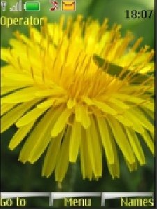 flower-24-wallpapers