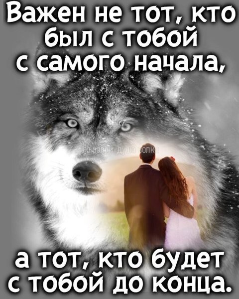 IMG 20260122 184806