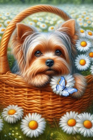 file_98046493