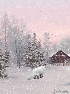 Белый кот (La Reina)