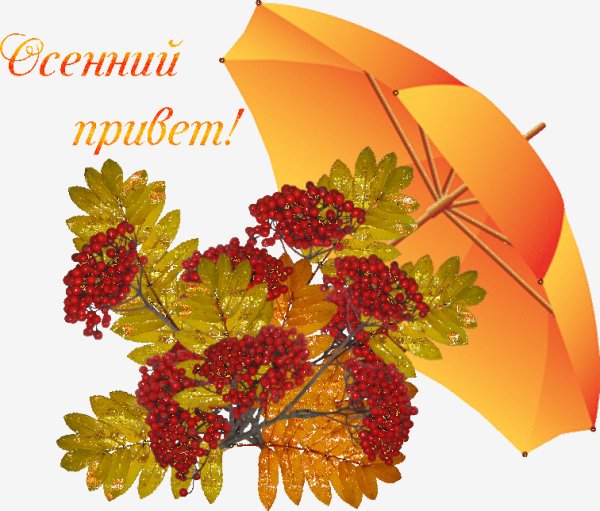 Осенний привет!
