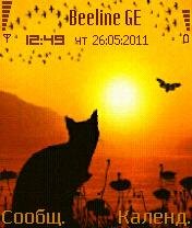 cat at sunset 0 1